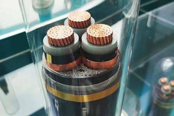 Assistance complète